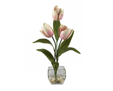 Tulips Cream Pink