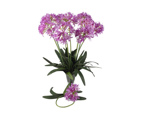 Copy of African Lily Pink