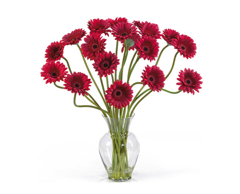 Daisies Red
