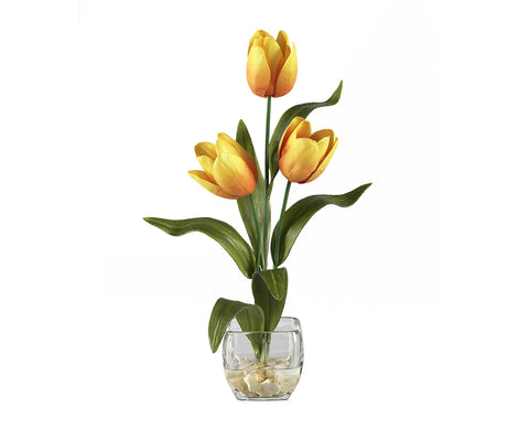 Tulips Yellow