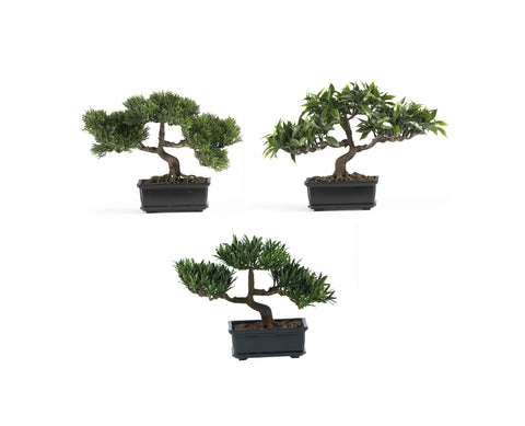 Bonsai Collection 12"