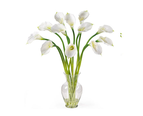 Calla Lilies White (12)