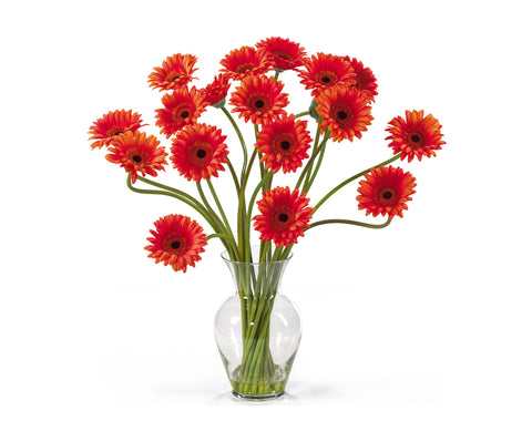 Daisies Orange
